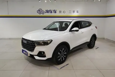 Haval H6 2023 National Tide Edition 1.5T Automatic City Edition - View 1