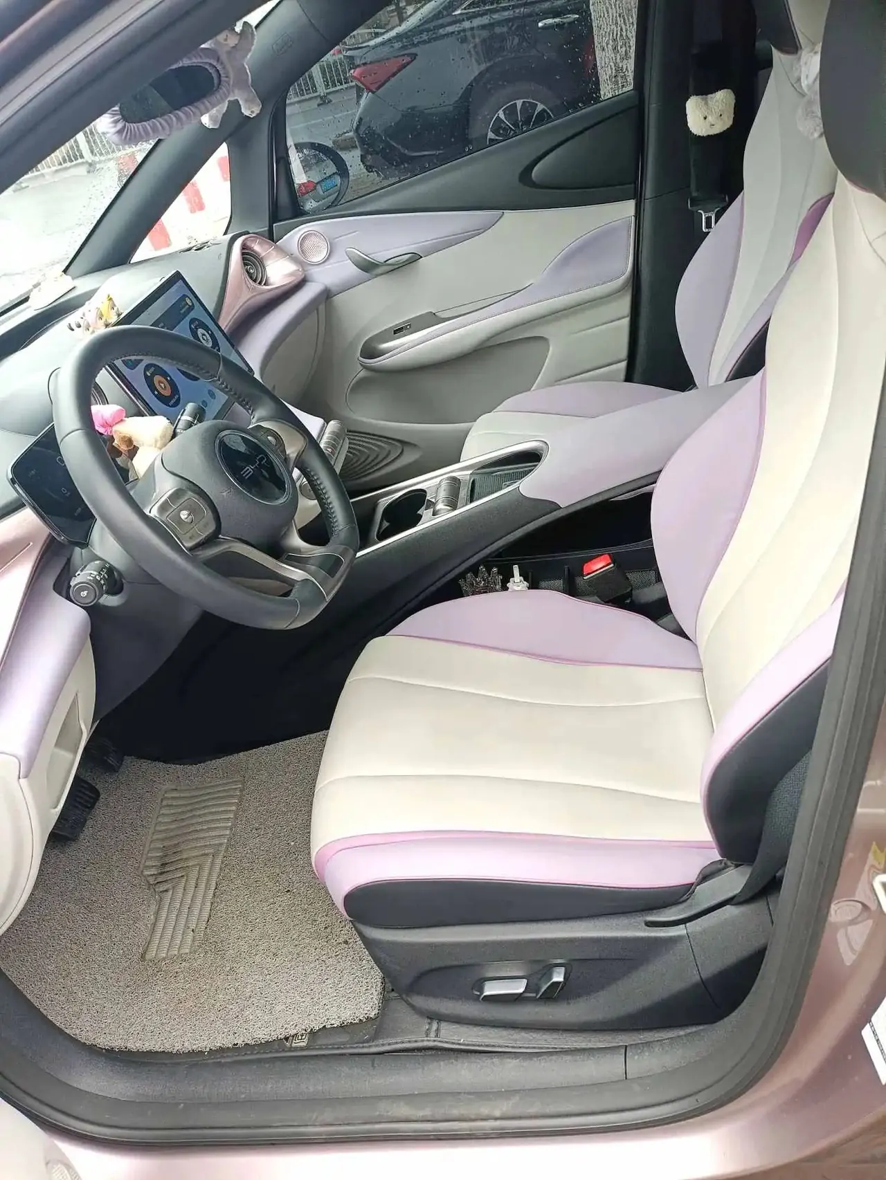BYD 2021 Dolphin 405km Fashion Edition Automatic 2