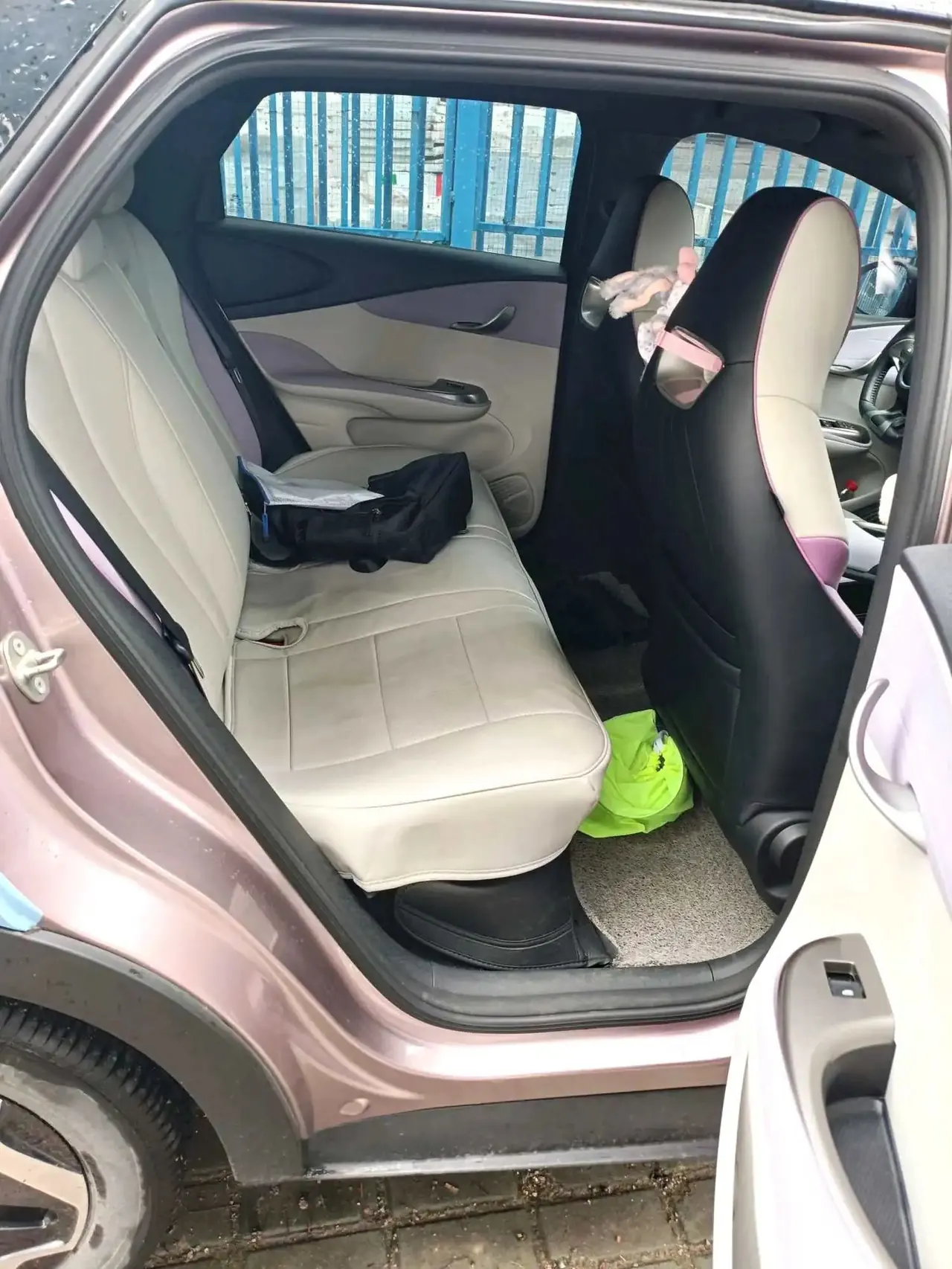 BYD 2021 Dolphin 405km Fashion Edition Automatic 4