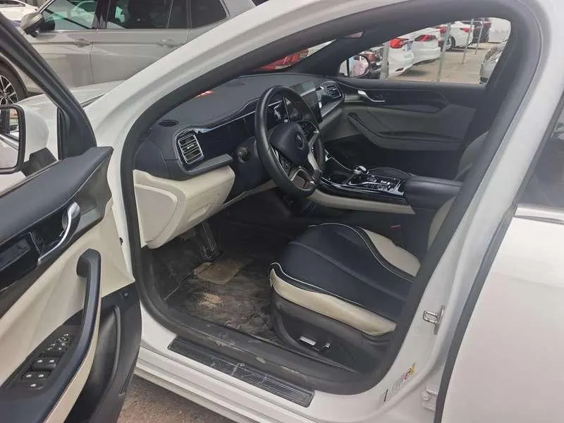 BYD 2021 Qin PLUS EV 500KM Honorable Automatic Gear 5
