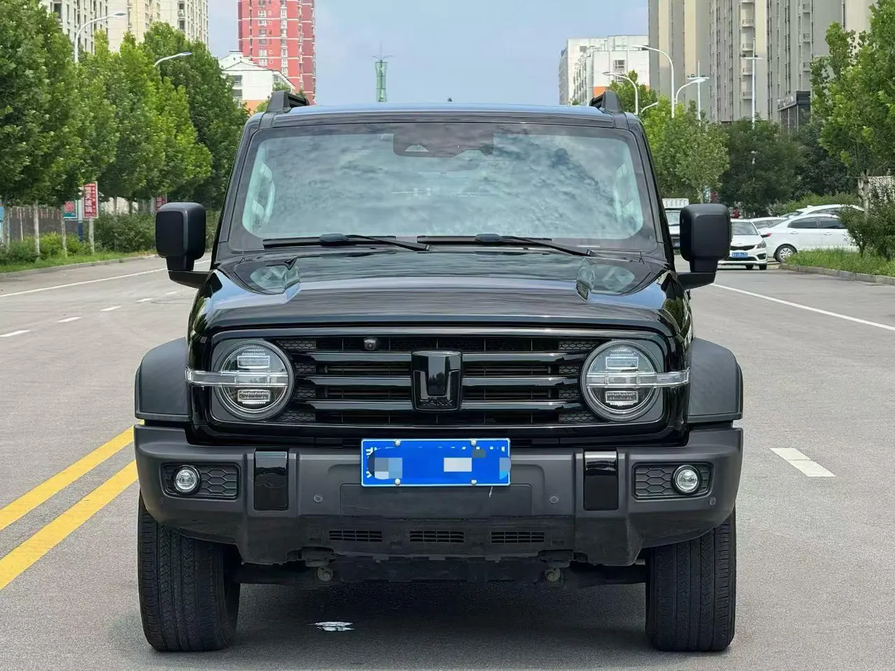 Tank 2021 Tank 300 2.0T Off-road Conqueror Automatic 2