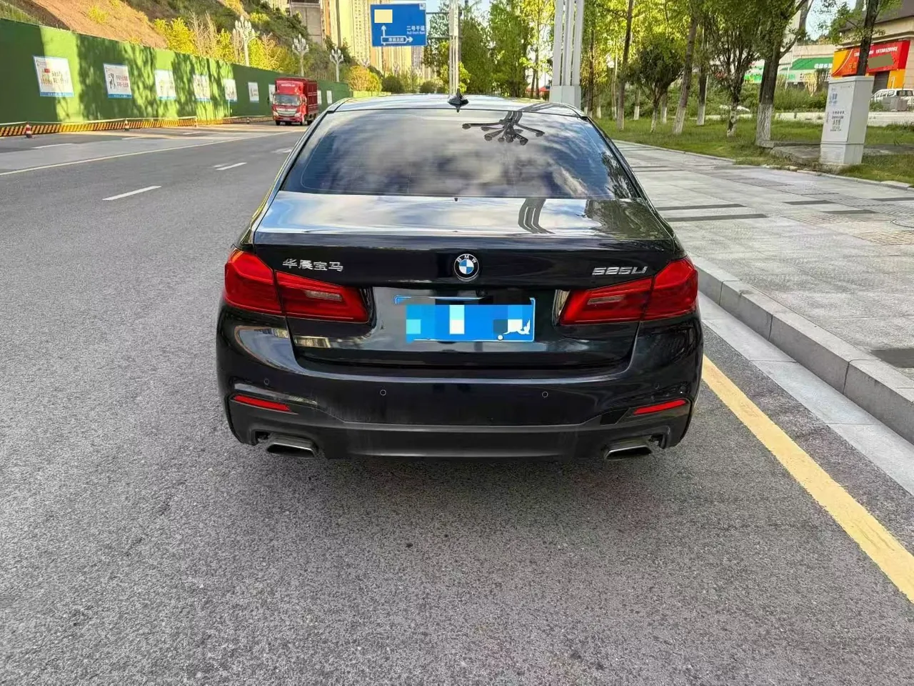 BMW 5 Series 2020 525Li 2.0T Luxury Suit Automatic Gear 4