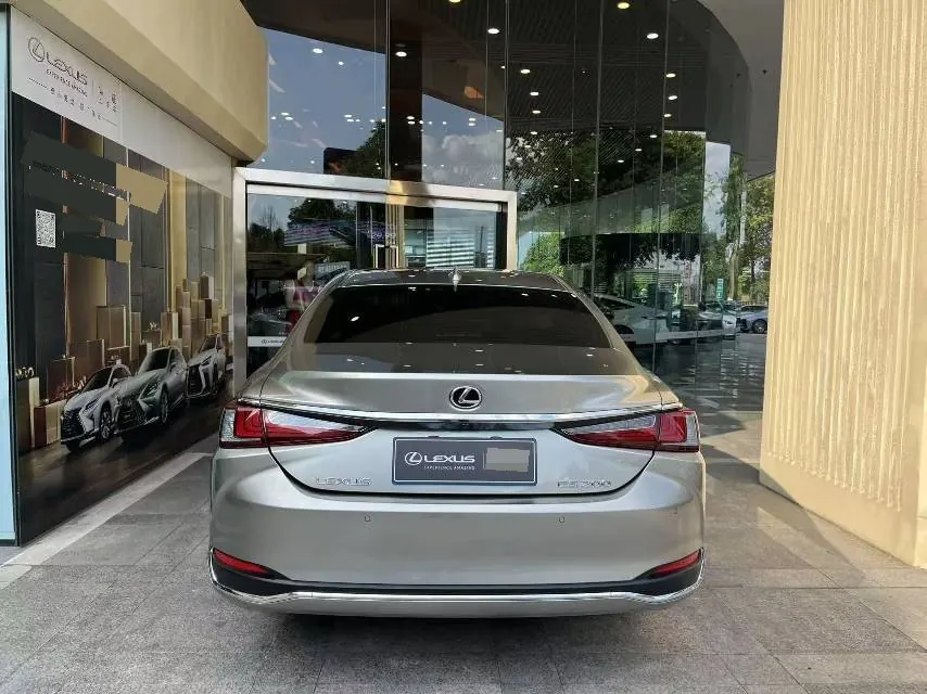 Lexus ES (Imported) 2020 ES200 2.0 Stepless Premium Edition Automatic Gear 5
