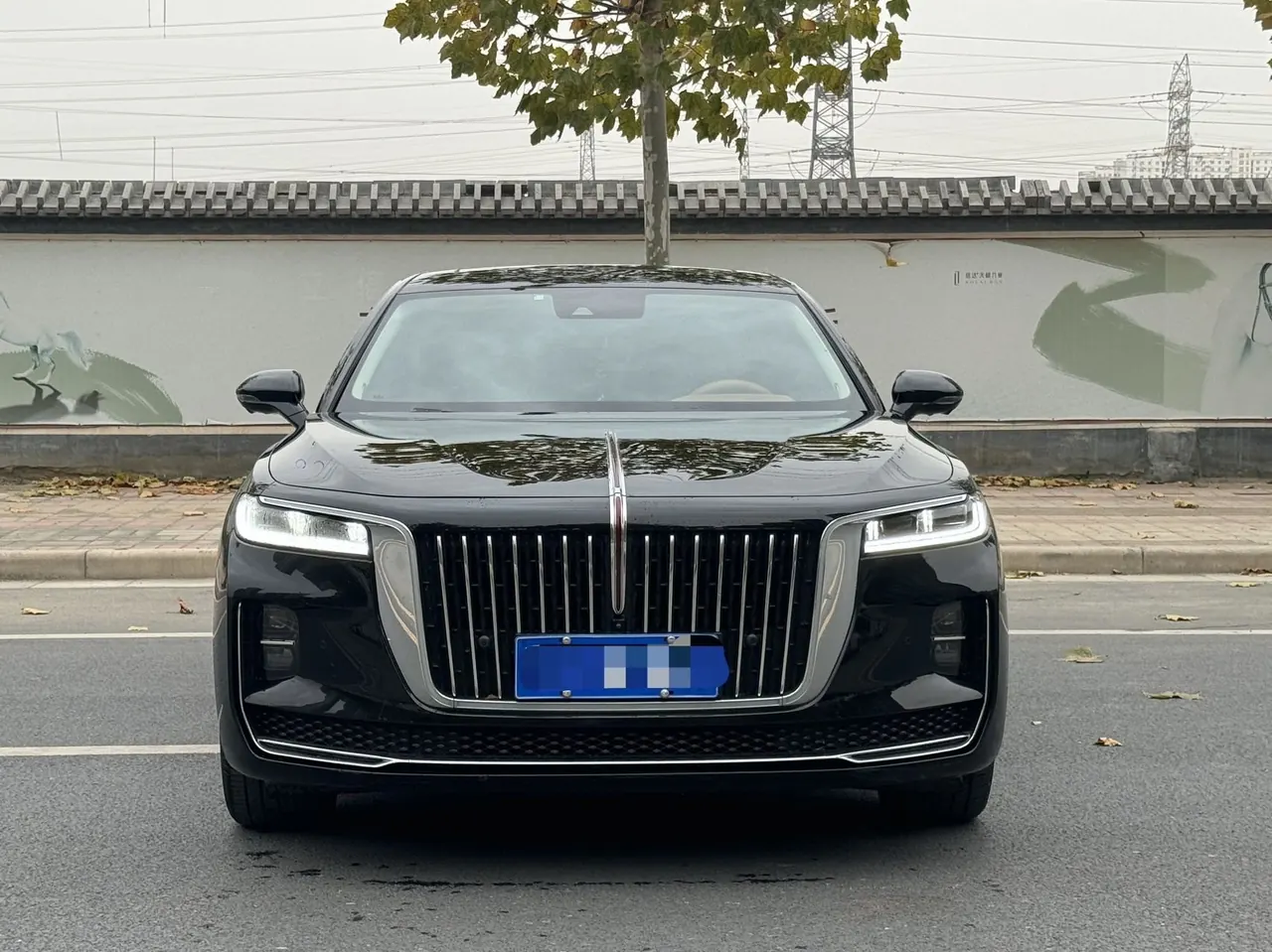 HongQi 2020 H9 48V 2.0T Zhilian Flag Edition Automatic Gear 2