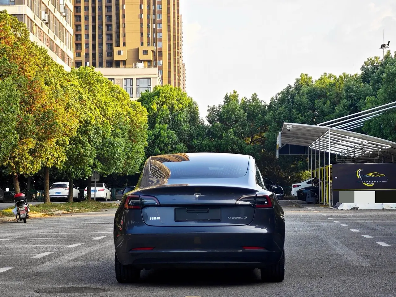 Tesla 2020 Model 3 Standard Endurance Rear Drive Upgraded Automatic Gear 8