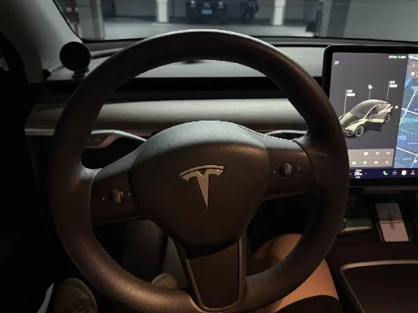 Tesla 2021 Model Y Standard Endurance Rear Drive Automatic Gear 3