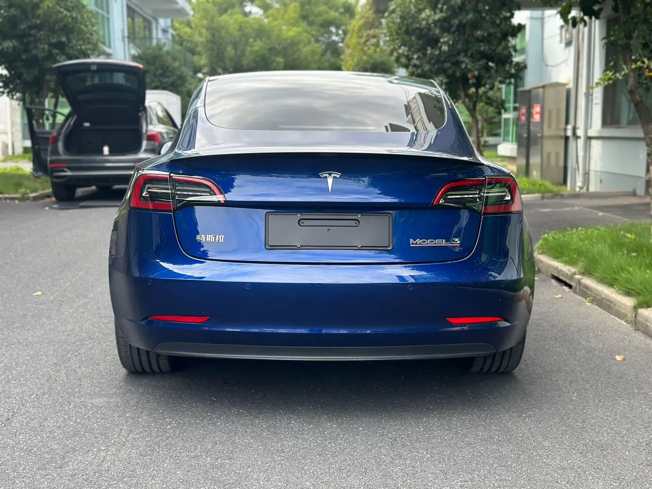 Tesla 2021 Model 3 Performance high-performance all-wheel drive version (facelift 2) automatic gear 3