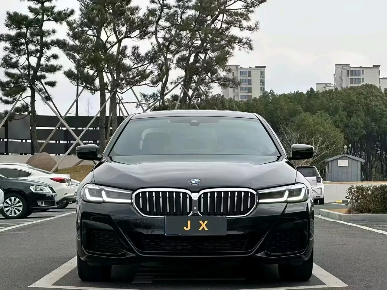 BMW 5 Series 2022 525Li 2.0T Luxury Suit (Change 2) Automatic Gear 2