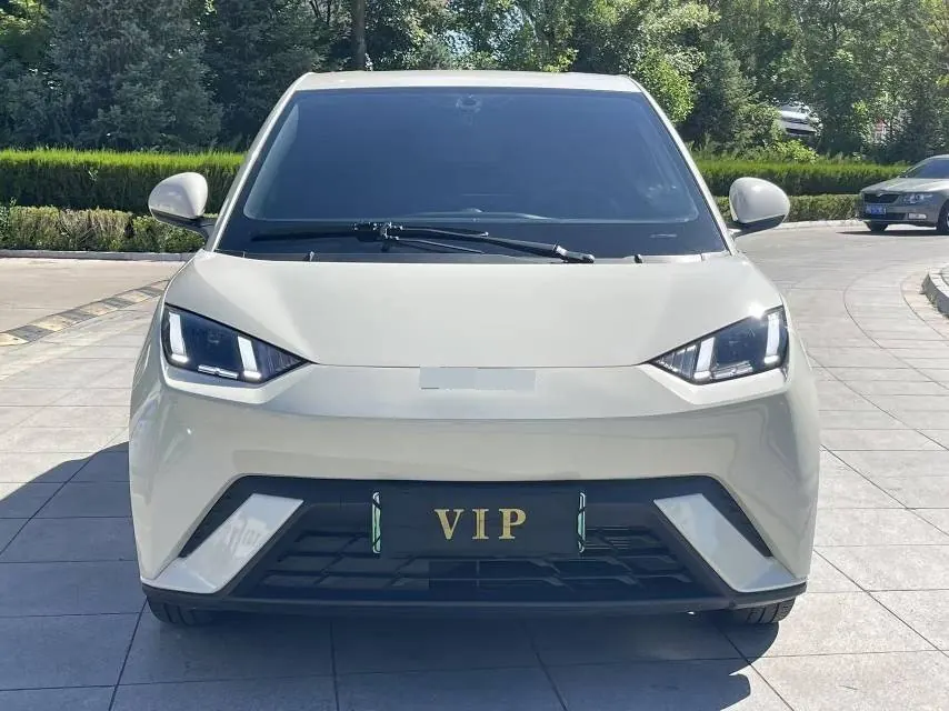 BYD 2023 seagull vitality version automatic gear 2