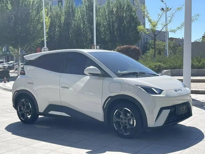BYD 2023 seagull vitality version automatic gear 3