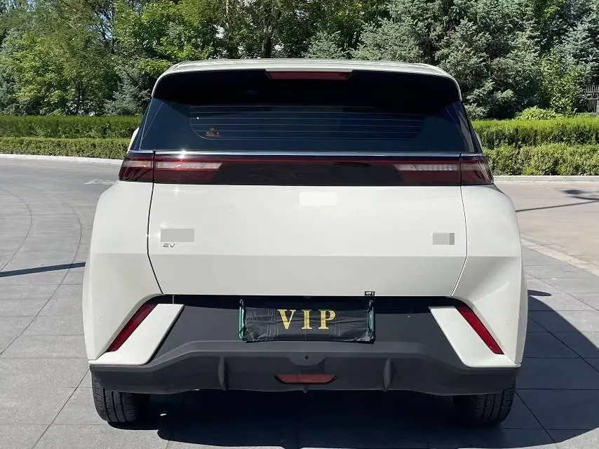 BYD 2023 seagull vitality version automatic gear 7
