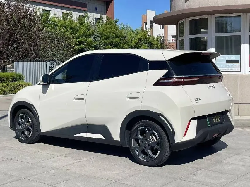 BYD 2023 seagull vitality version automatic gear 8