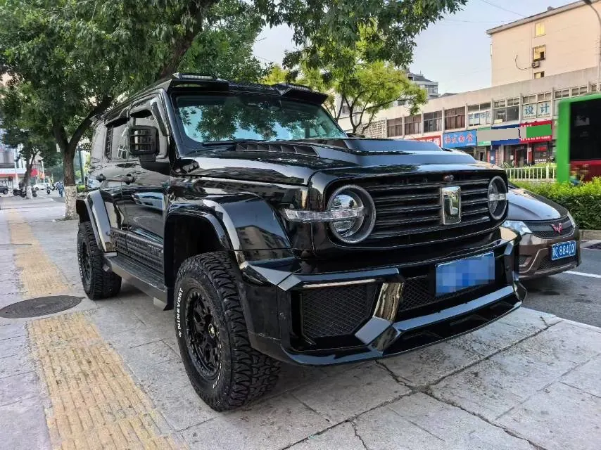 Tank 2021 Tank 300 2.0T Off-road Conqueror Automatic 3