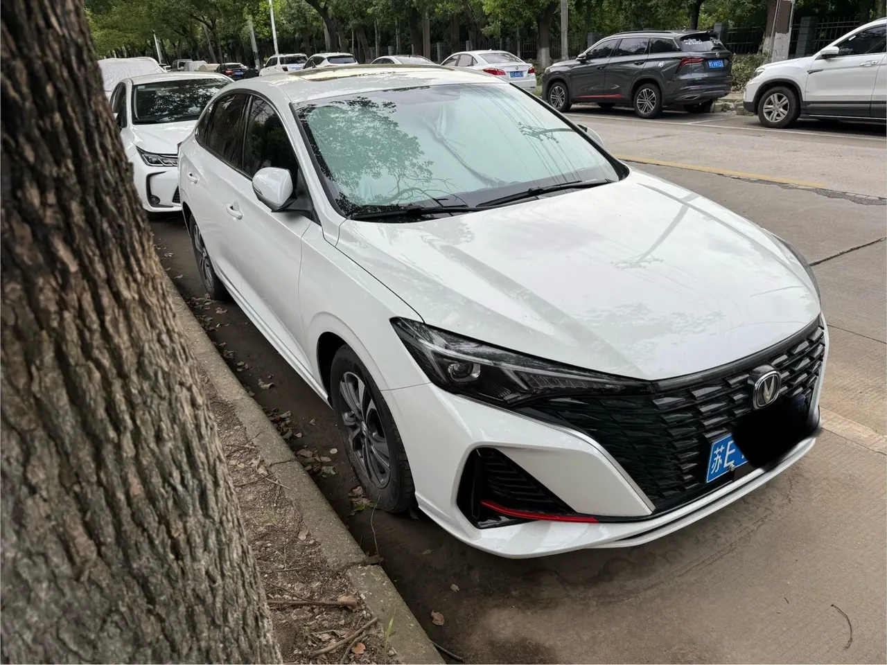 ChangAn 2024 Yidong PLUS 1.4TGDI Blue Whale NE High Energy Edition Automatic Gear 3