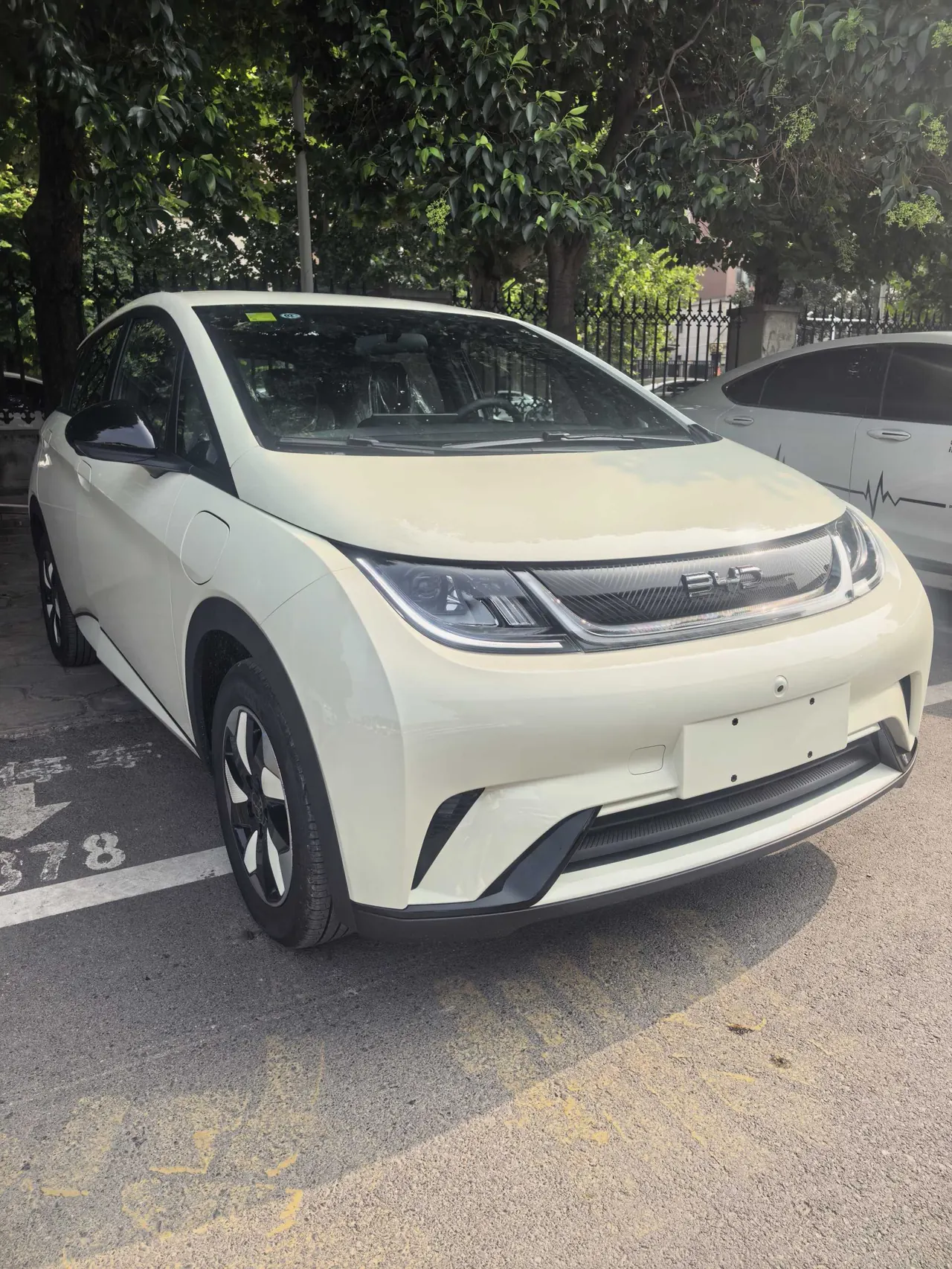 BYD 2025 Dolphins 420km Free Edition Automatic 2