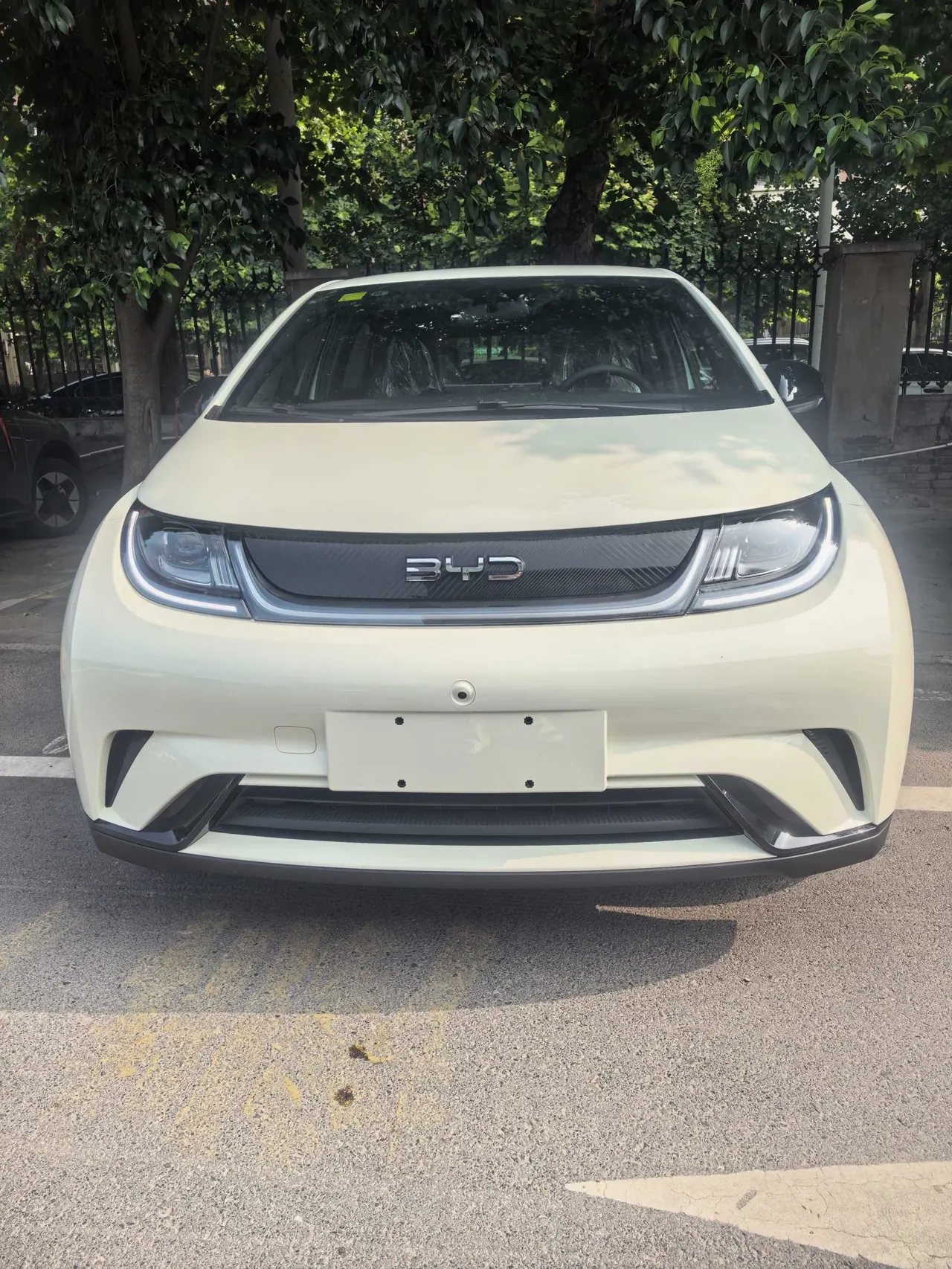 BYD 2025 Dolphins 420km Free Edition Automatic 3