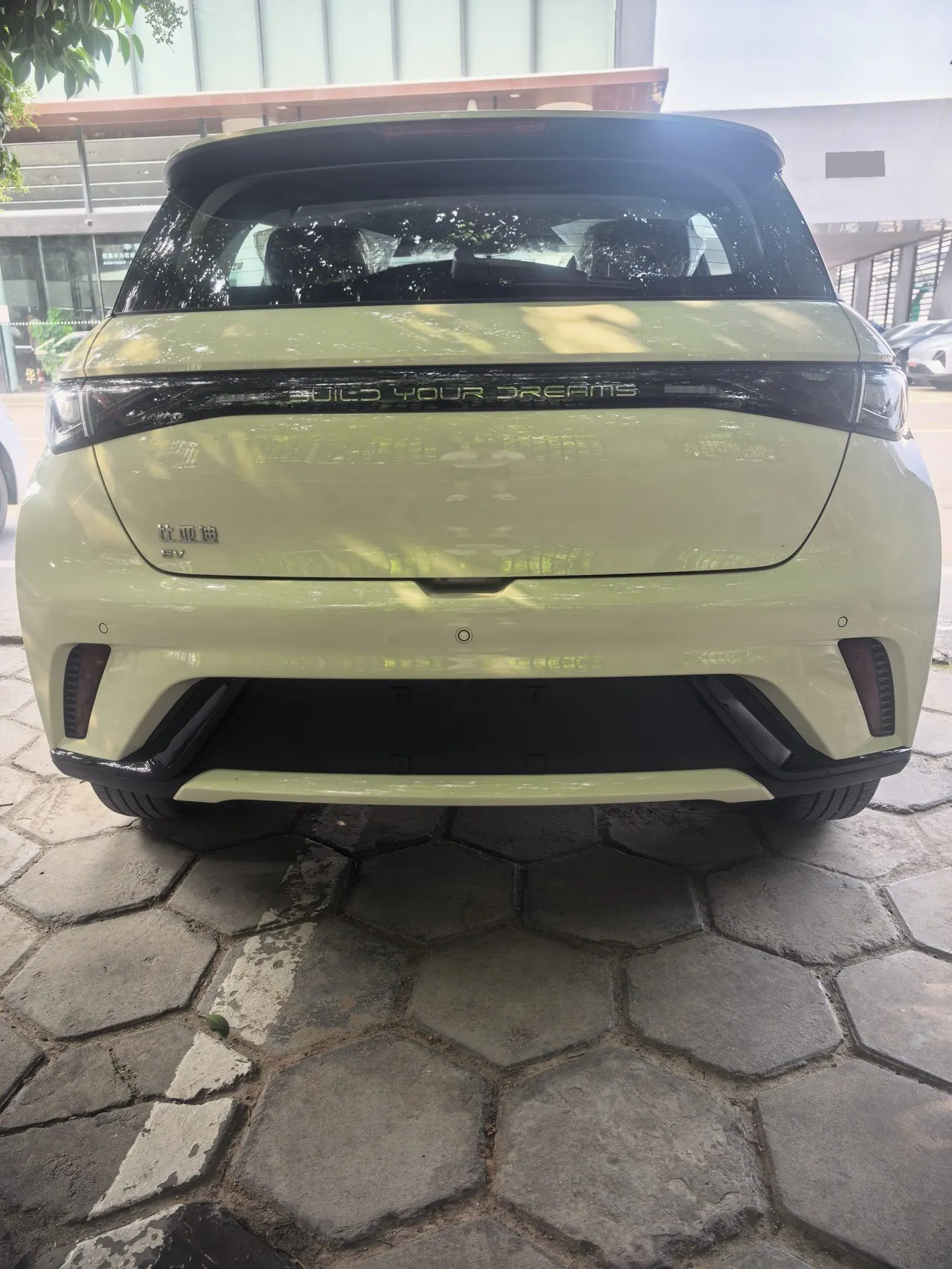 BYD 2025 Dolphins 420km Free Edition Automatic 5