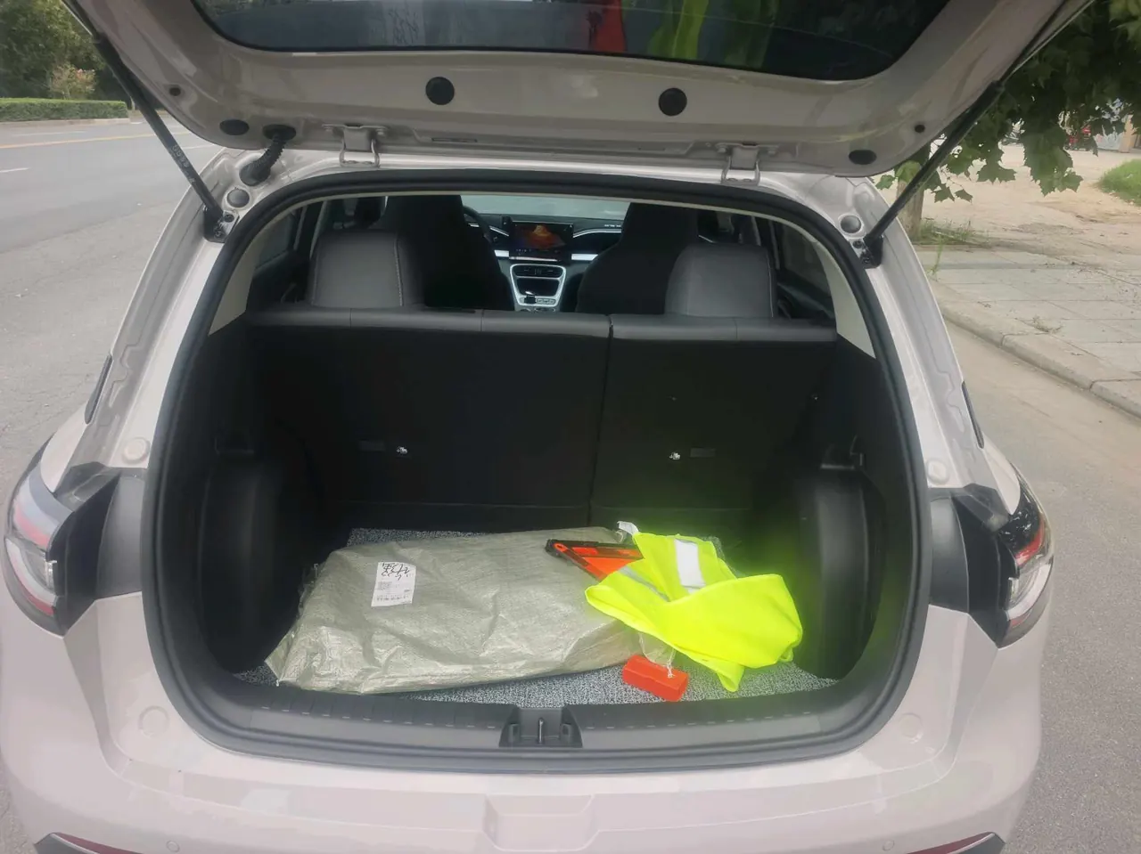 Geely 2026 Star Wish 310km Youth Edition Automatic Gear 9