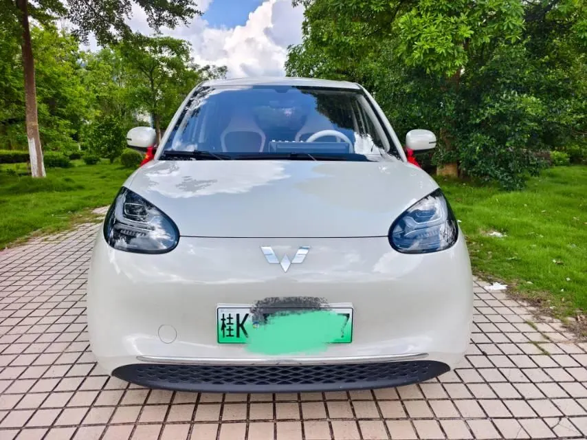 WuLing 2025 Plantronics 333km Enjoy Automatic Gear 2