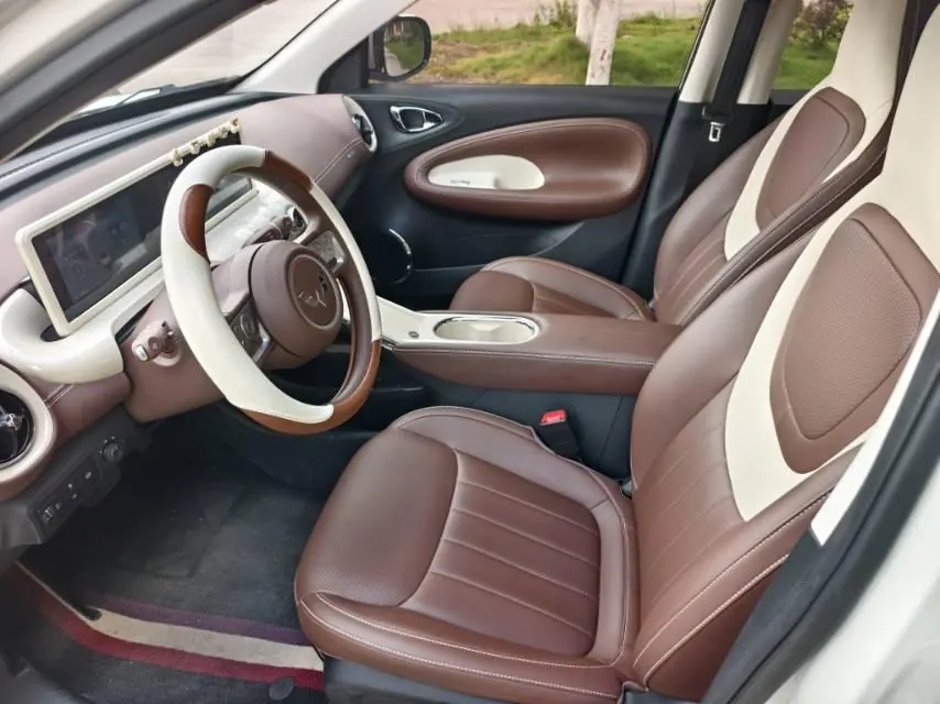 WuLing 2025 Plantronics 333km Enjoy Automatic Gear 8
