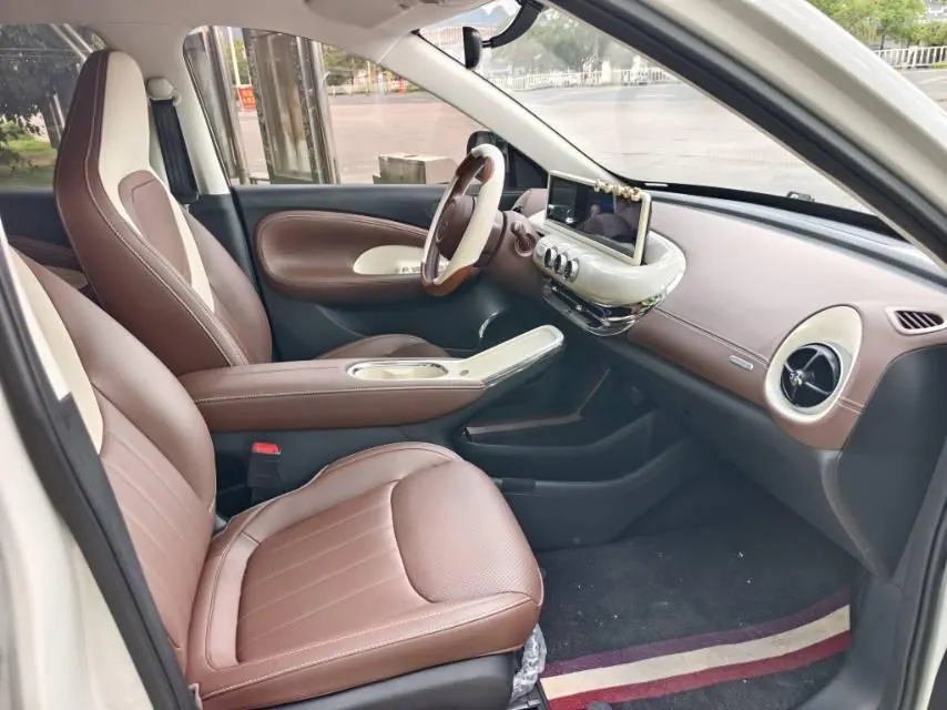WuLing 2025 Plantronics 333km Enjoy Automatic Gear 9