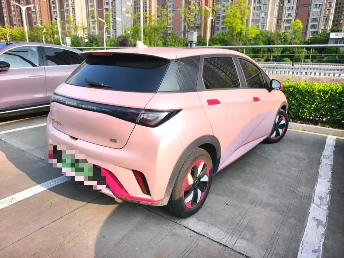 BYD 2025 Dolphin 420km Fashion Edition Automatic 2