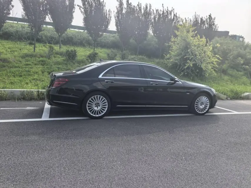 Mercedes Benz S-Class (Imported) 2020 S 350 L 48V 3.0T Exclusive Zhen Tibetan Edition Automatic Gear 3