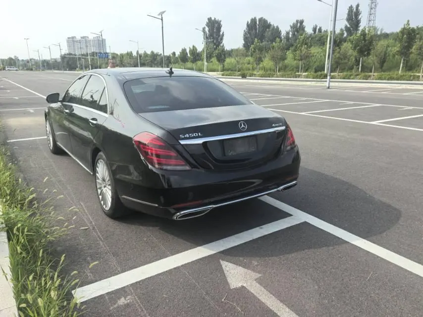 Mercedes Benz S-Class (Imported) 2020 S 350 L 48V 3.0T Exclusive Zhen Tibetan Edition Automatic Gear 4