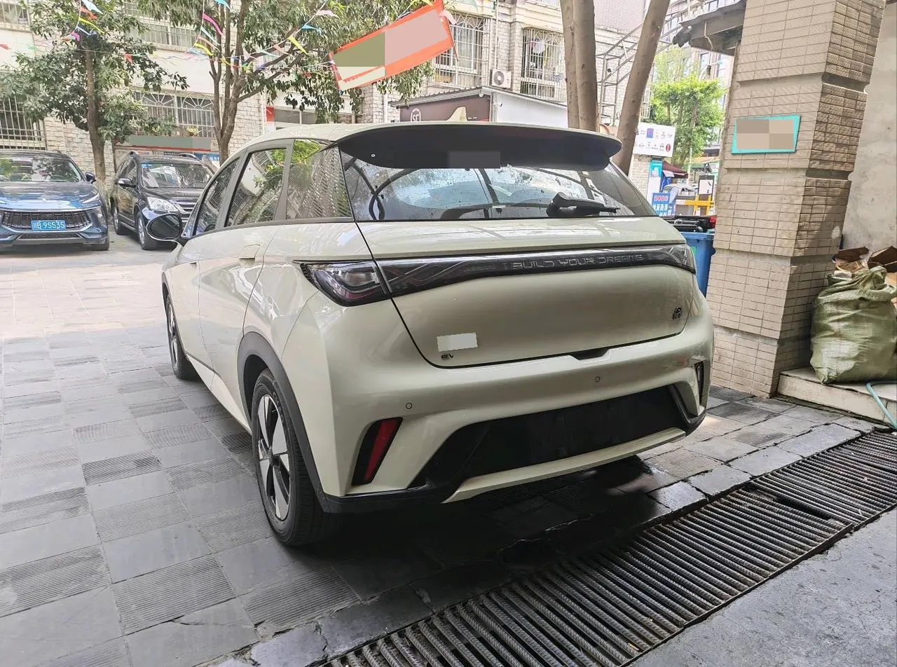 BYD 2023 Dolphin 420km Fashion Edition Automatic 2