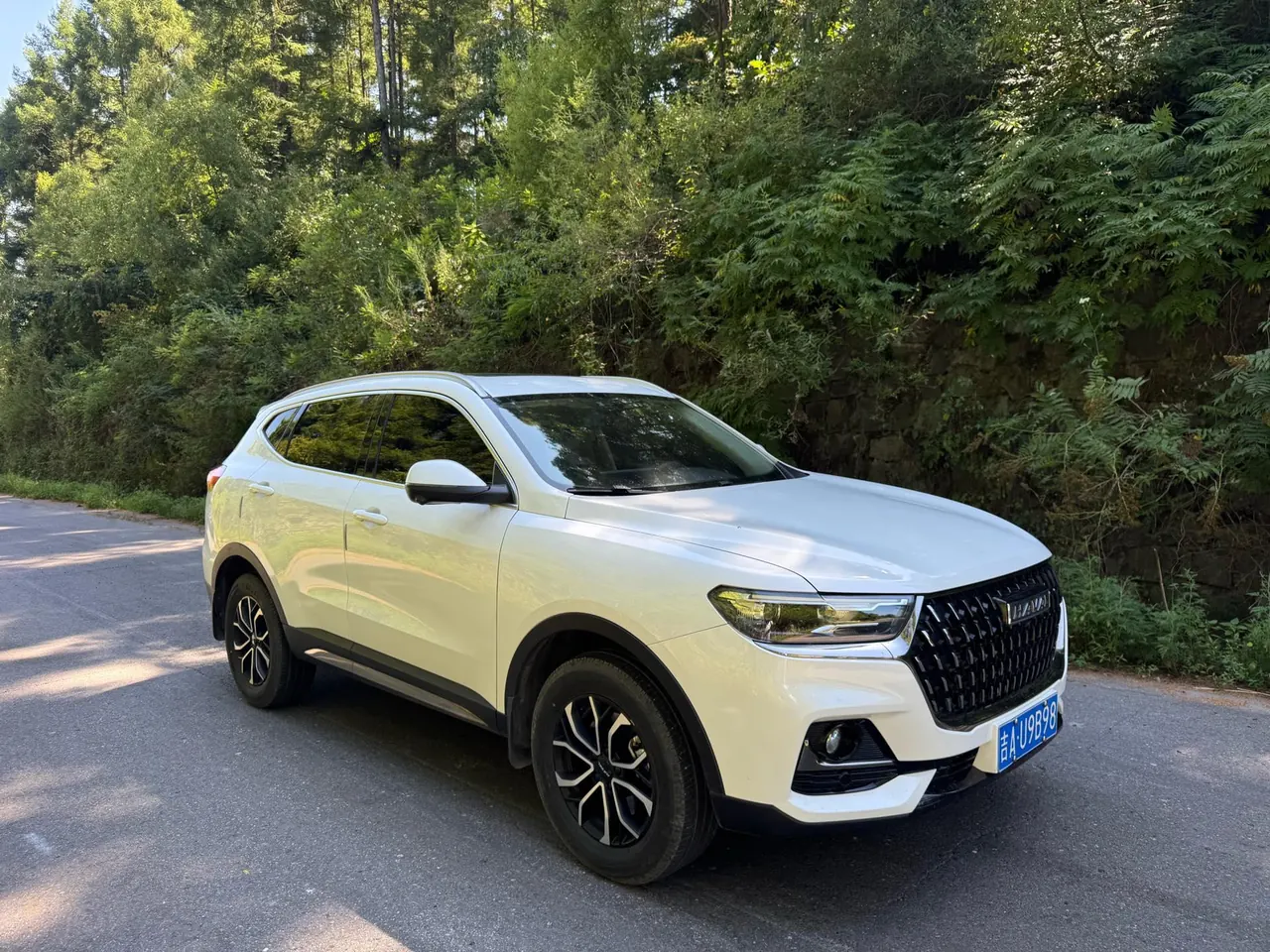 Haval 2021 H6 1.5T National Tide Edition Urban Edition Automatic Gear 3