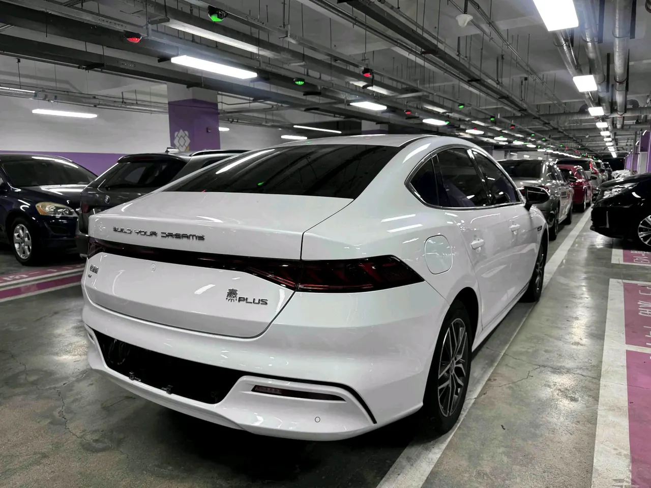 BYD 2021 Qin PLUS EV 500KM Honorable Automatic Gear 7