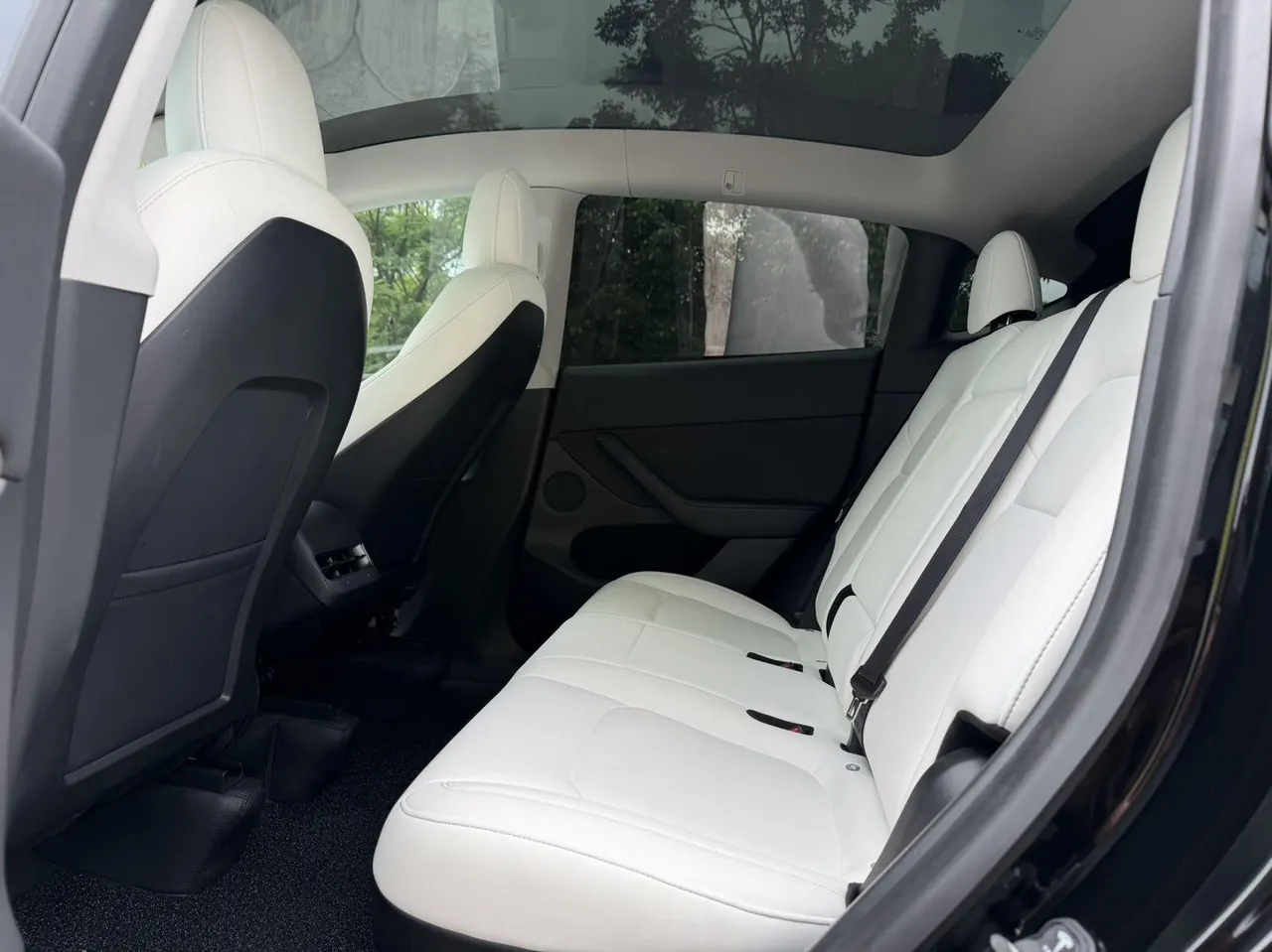 Tesla 2021 Model Y Standard Endurance Rear Drive Automatic Gear 6