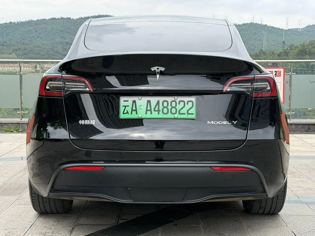 Tesla 2021 Model Y Standard Endurance Rear Drive Automatic Gear 8