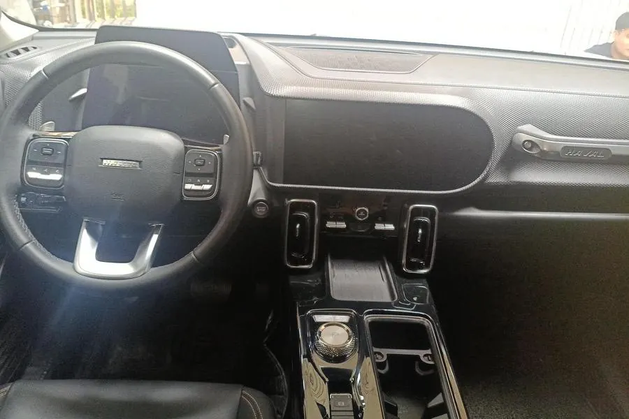 Haval 2021 Big Dogs 1.5T Border Animal Husbandry Wangcai Edition Automatic Gear 4