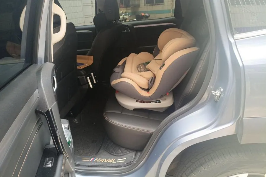 Haval 2021 Big Dogs 1.5T Border Animal Husbandry Wangcai Edition Automatic Gear 5