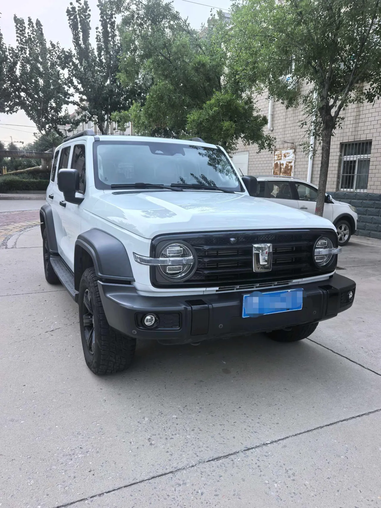 Tank 2021 Tank 300 2.0T Off-road Conqueror Automatic 2