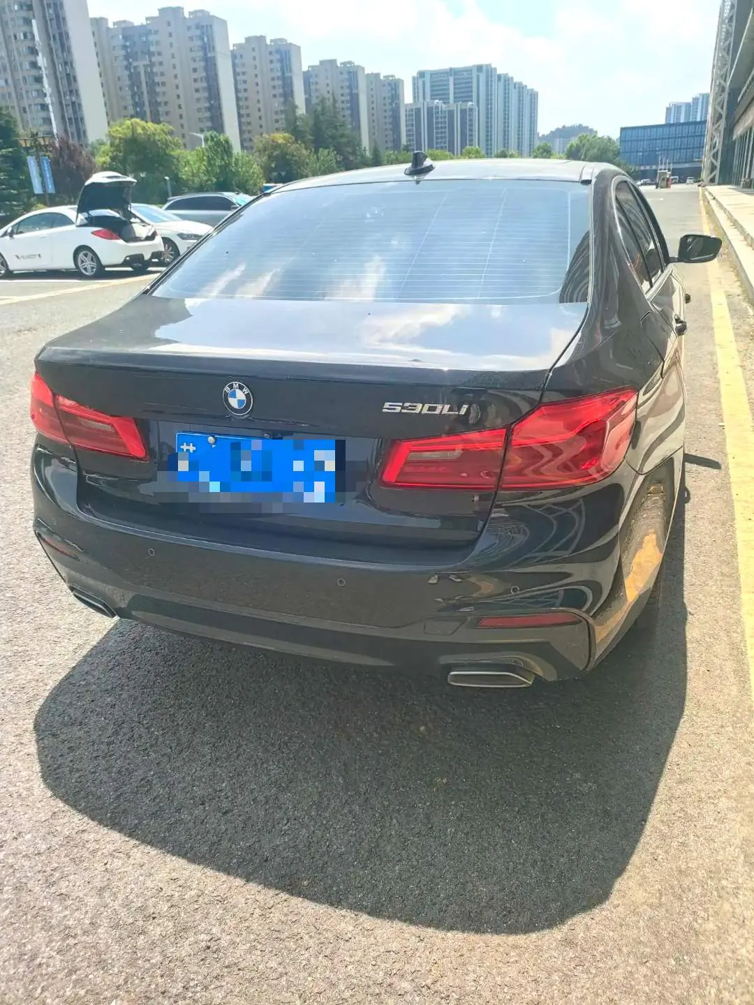 BMW 5 Series 2021 530Li 2.0T Leading Luxury Suit Automatic Gear 6