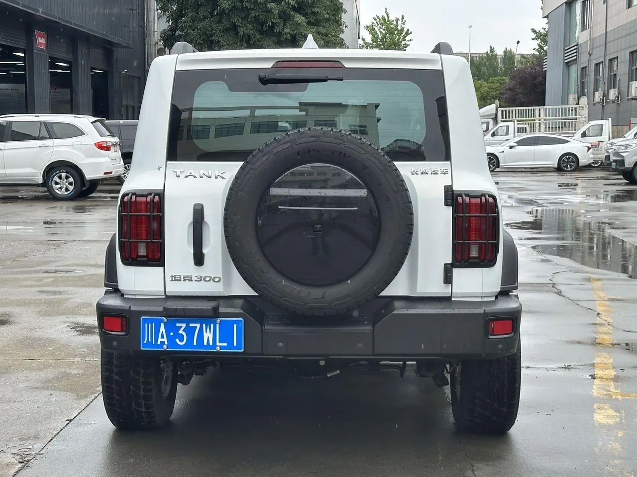 Tank 2021 Tank 300 2.0T Off-road Conqueror Automatic 9