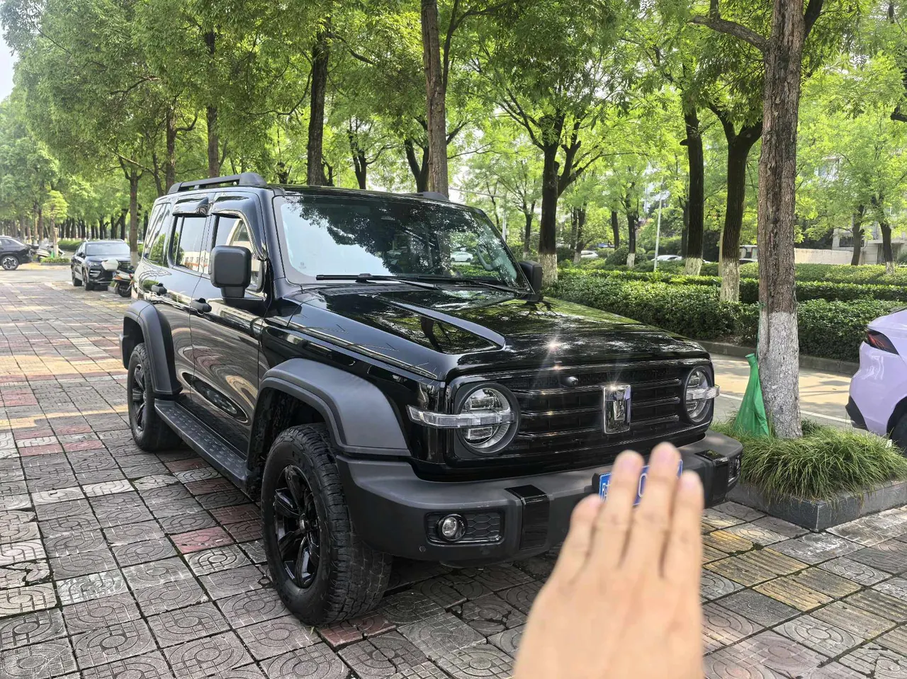 Tank 2021 Tank 300 2.0T Off-road Conqueror Automatic 3
