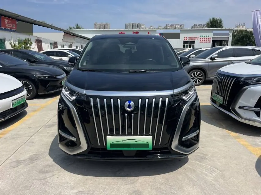 Denza 2024 Denza D9 EV EV600 four-wheel drive distinguished automatic gear 2