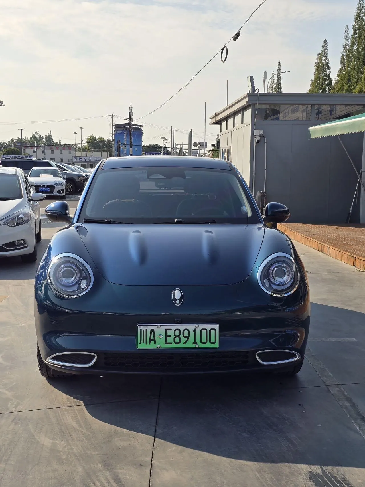 Ora 2024 Good Cat 501km Honorable Automatic Gear 3