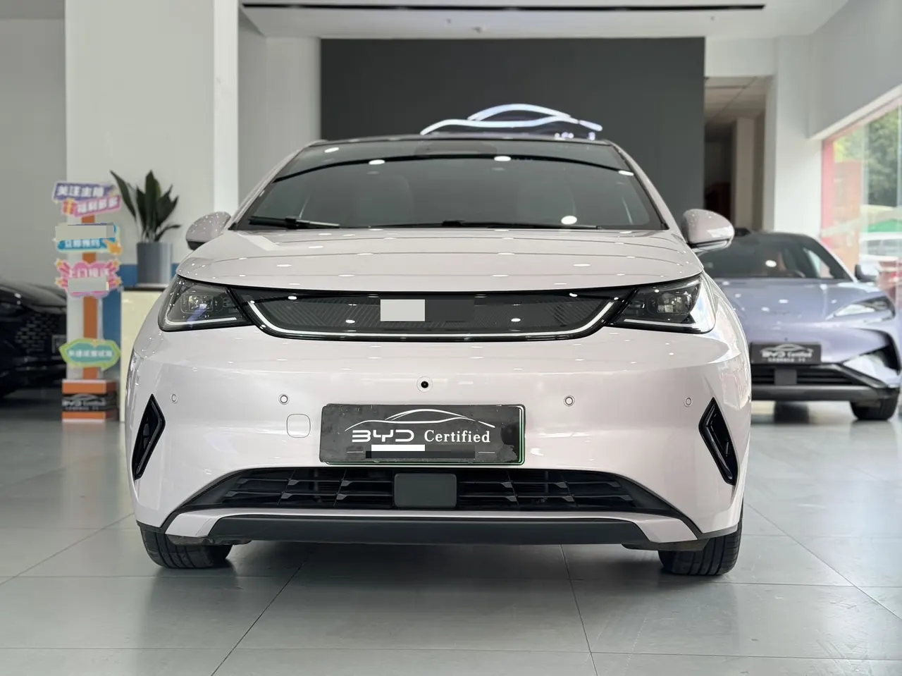 BYD 2025 Dolphin Smart Driving 410km Fashion Automatic Gear 3