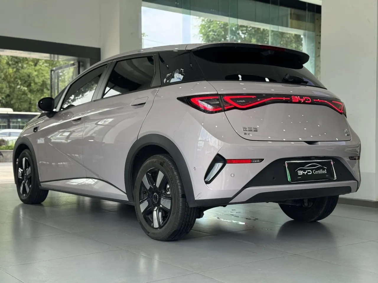 BYD 2025 Dolphin Smart Driving 410km Fashion Automatic Gear 7