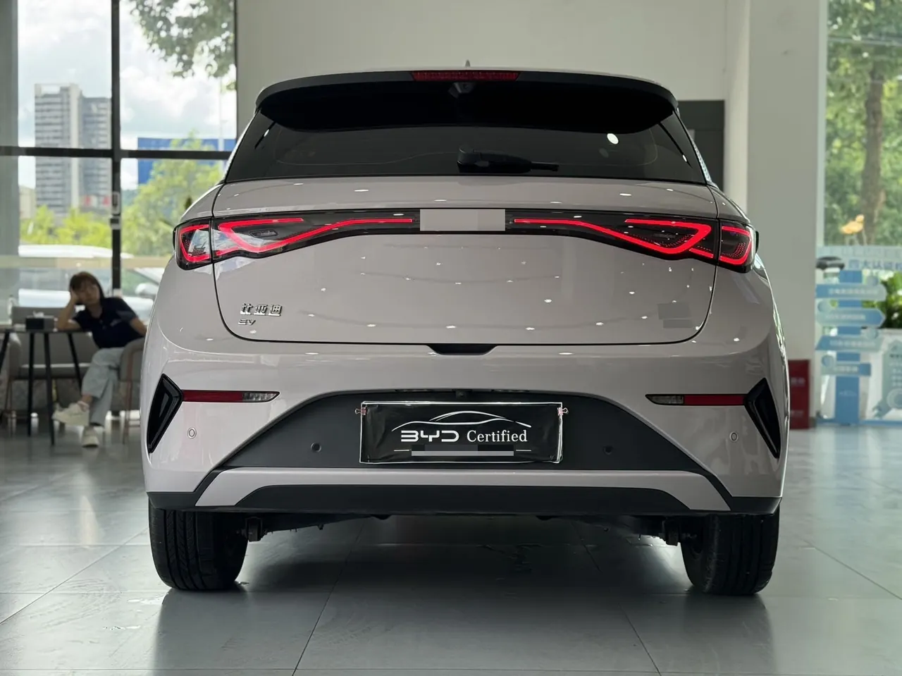 BYD 2025 Dolphin Smart Driving 410km Fashion Automatic Gear 8