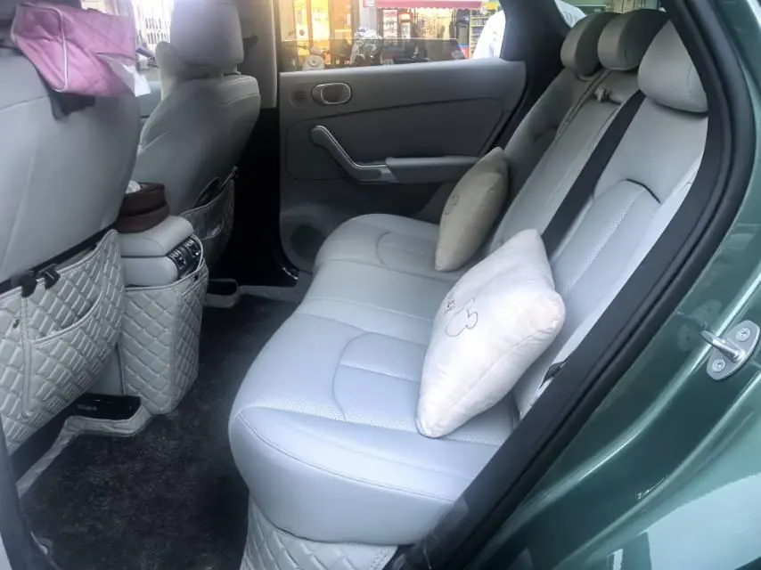 BYD Yuan PLUS 2026 Yuan PLUS 630KM Excellent Automatic Gear 3