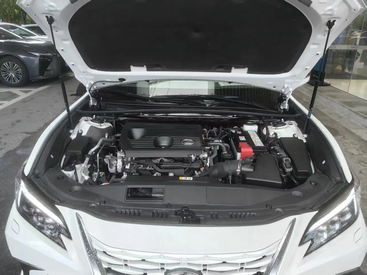 Lexus ES (Imported) 2025 ES200 2.0 Stepless Edition Automatic Gear 4