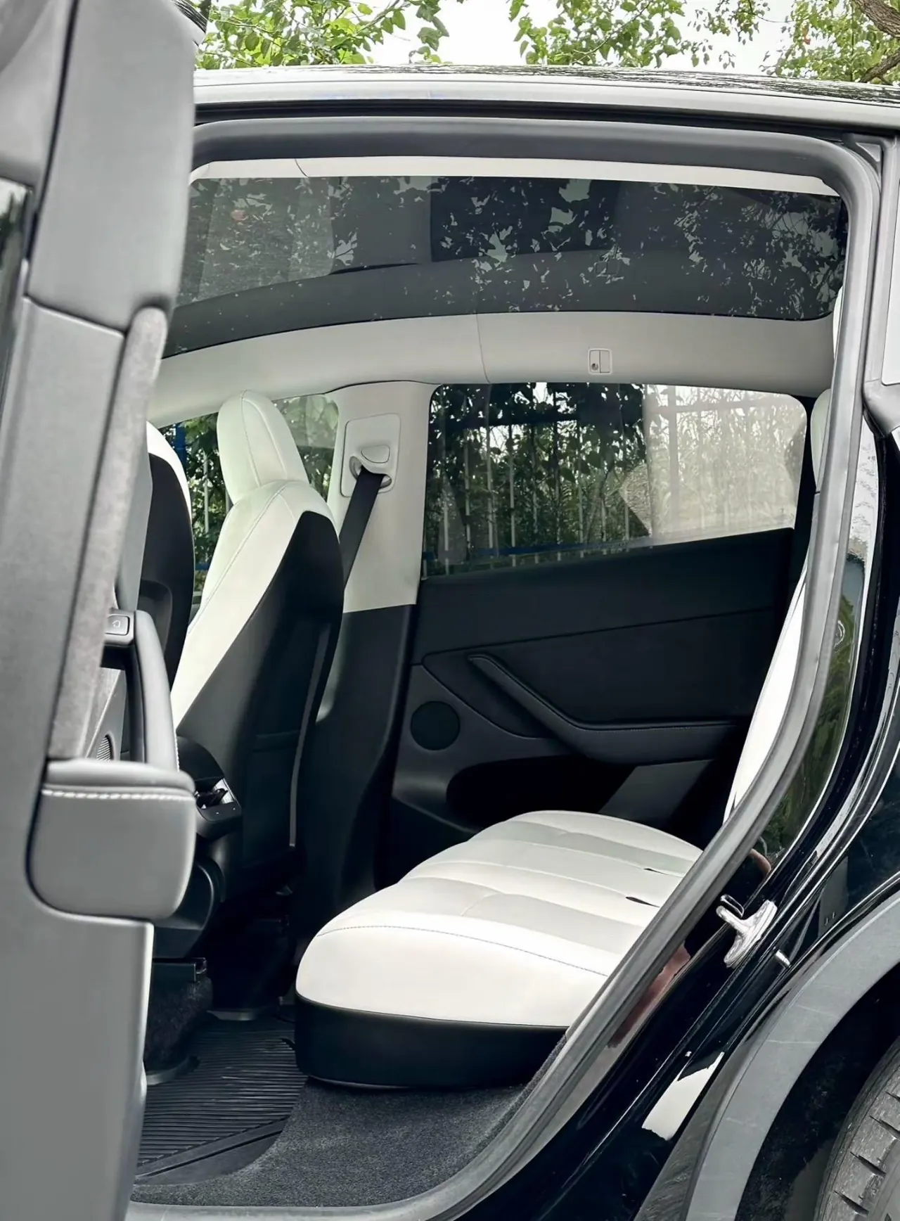 Tesla 2021 Model Y Standard Endurance Rear Drive Automatic Gear 4