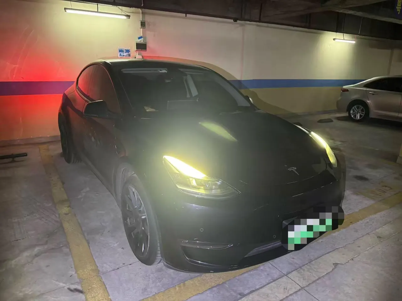 Tesla 2021 Model Y Standard Endurance Rear Drive Automatic Gear 7