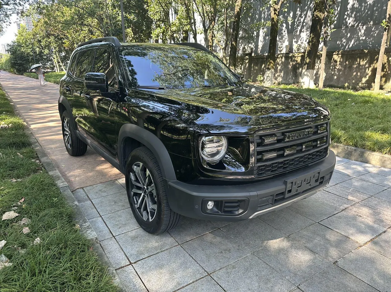 Haval 2026 big dog 2.0T Chinese garden dog version automatic gear 2