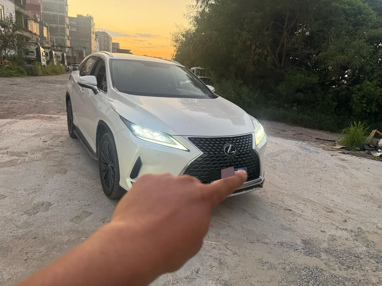 Lexus RX (Imported) 2020 RX300 2.0T Two-Drive Elite Edition (Revised) Automatic Gear 2